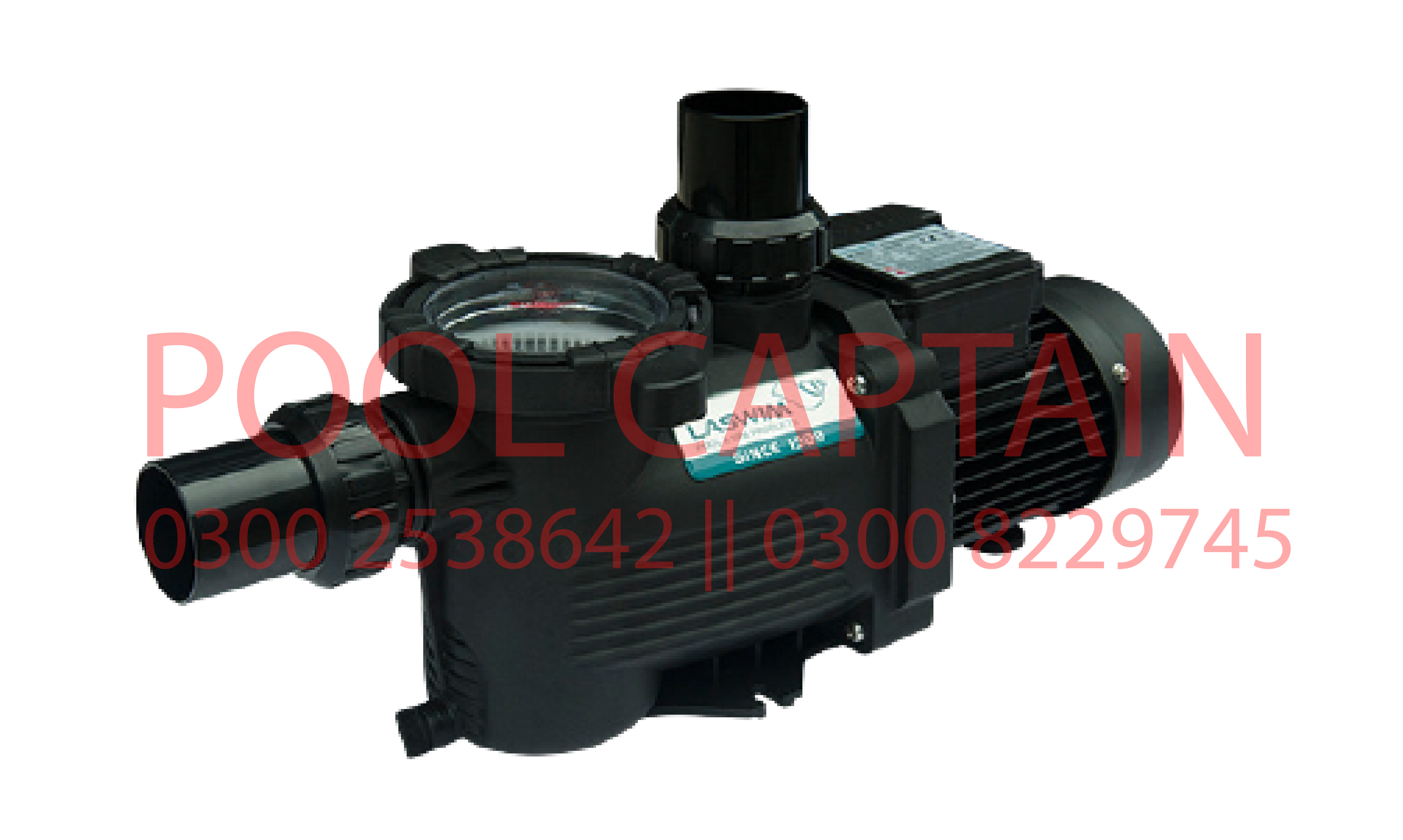Laswim Pool Pumps